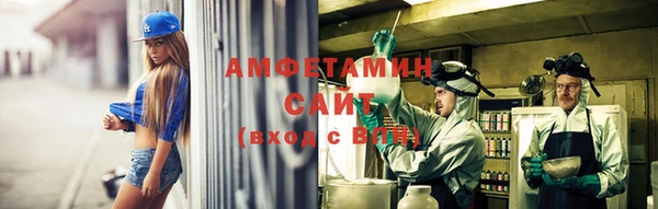 мяу мяу мука Аркадак
