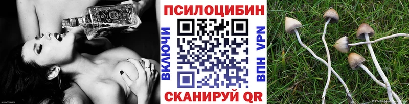 Купить закладки  Кашира  Псилоцибиновые грибы ЛСД 