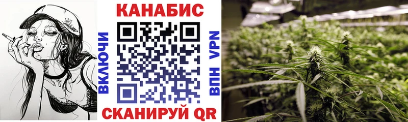 Купить закладки  Кашира  Бошки Шишки планчик 